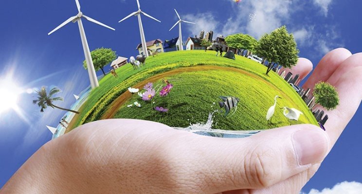 Solar Panel Service Provider in Punjab | Click To Pick